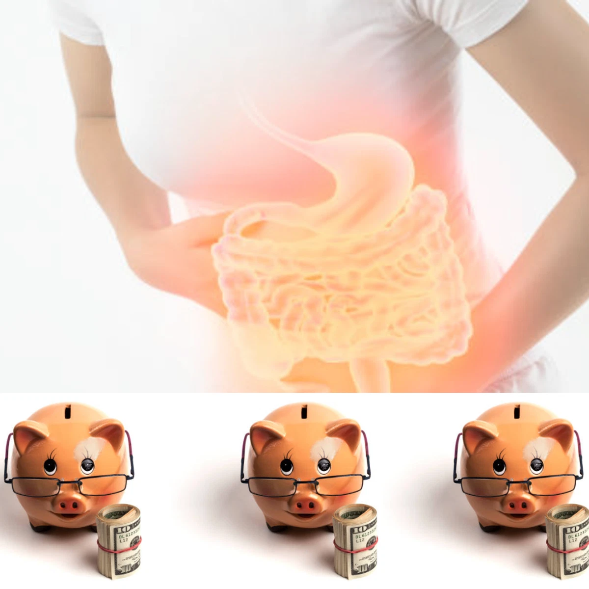 Workshop Dinheiro & Intestino