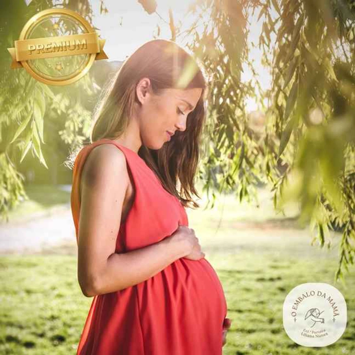 Curso de Preparação para o Nascimento PREMIUM: Uma Jornada Consciente para a Parentalidade