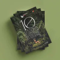 10 Levadas & Veredas Imperdíveis na Madeira