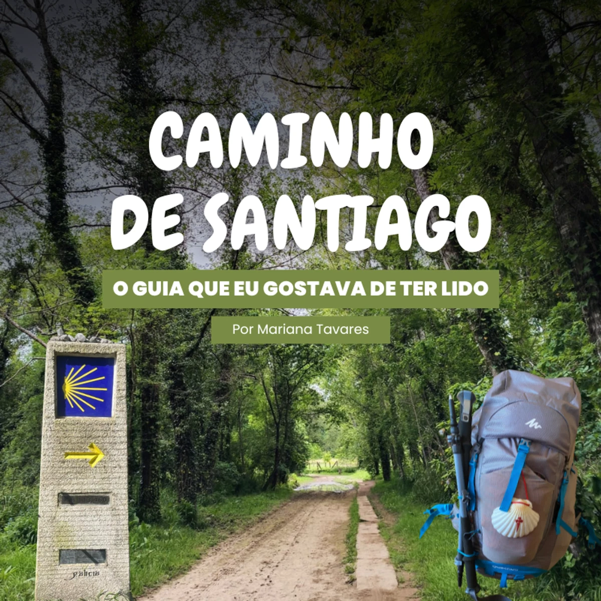 Guia Caminho de Santiago de Compostela
